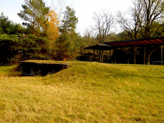 Strelnica na asfaltove holuby