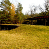 Strelnica na asfaltove holuby