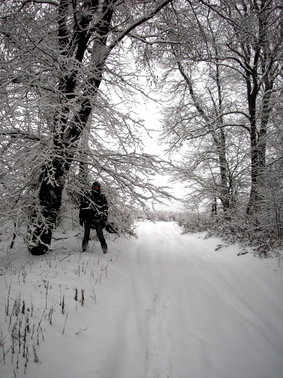 Prechadzka zasnezenym revirom