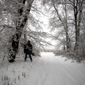 Prechadzka zasnezenym revirom