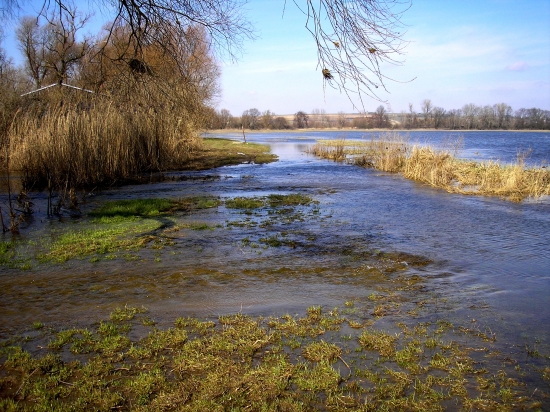 Luka  v pomoravi pri povodniach