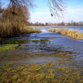 Luka  v pomoravi pri povodniach