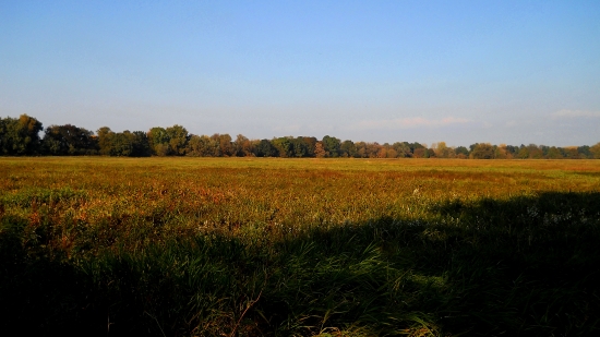 Ta ista luka na jesen.