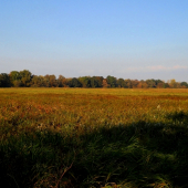 Ta ista luka na jesen.