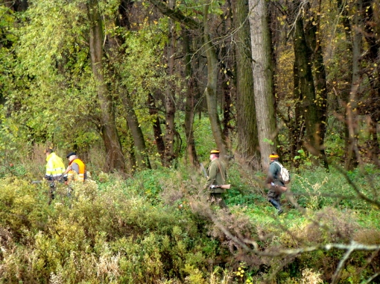 Rakuska polovacka na druhej strane Moravy