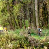 Rakuska polovacka na druhej strane Moravy