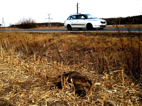 Aj toto sa stava,a dost casto