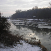 Morava v zime