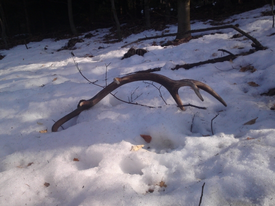 dnes konecne cerstvy