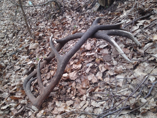 dnes 50siat metrov boli od seba