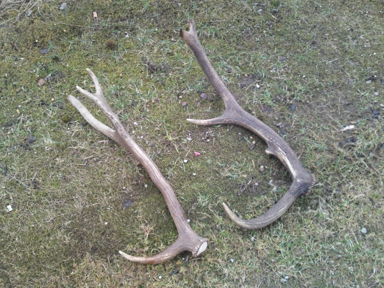 dnešna raritka a stary 10torak