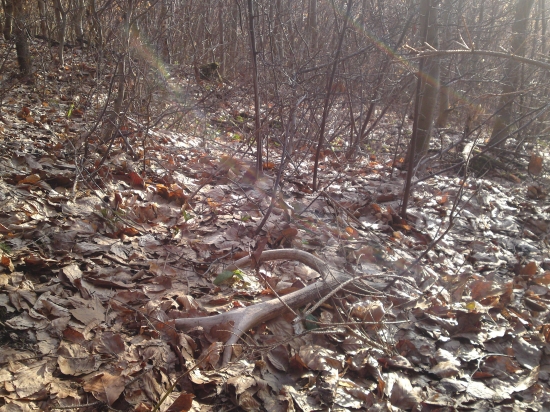 dnes stary ale potesi 12torak