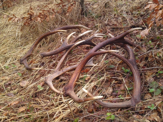 včerajši kompletny nalez pohromade