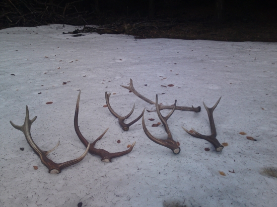 Dnes to zasa šlo 4moje 2kamaratove