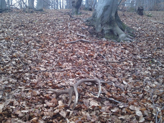 dnešna krasa 16torak