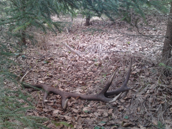 Dnesny krasny 14torak