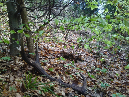 dnes sa zadarelo prvy pohlad