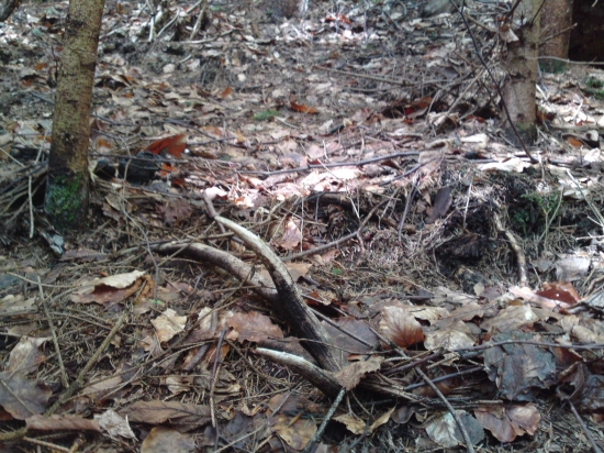 aj taky poteši 6-čik