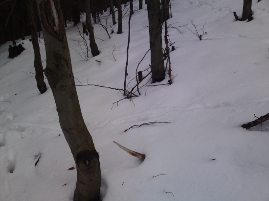 nieco z marca prvy pohlad