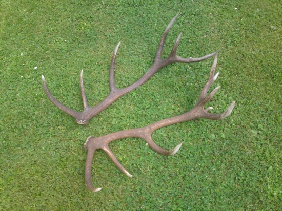 po roku spolu nepr 16 torak