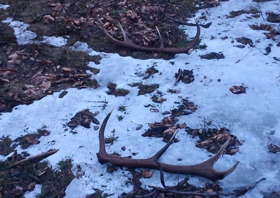 krstneho marcove stastie prvy pohlad