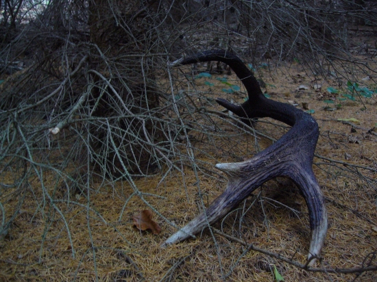 dnes sa zadarelo prvy pohlad