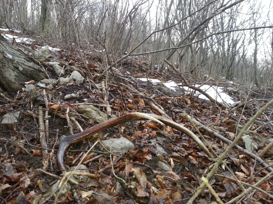 1-2015 aj taky potesi