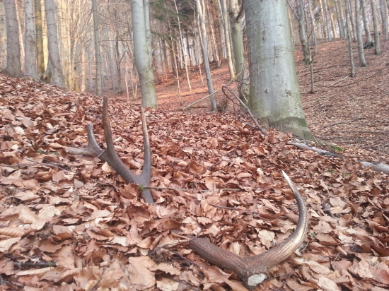 Dnešne šťastie prvy pohĺad