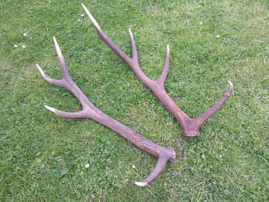 po roku konečne spolu