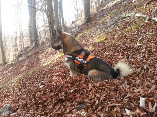 Na prechadzke s Agirom