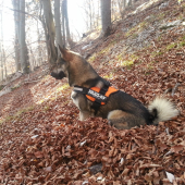 Na prechadzke s Agirom