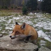 Prišla až k objektívu