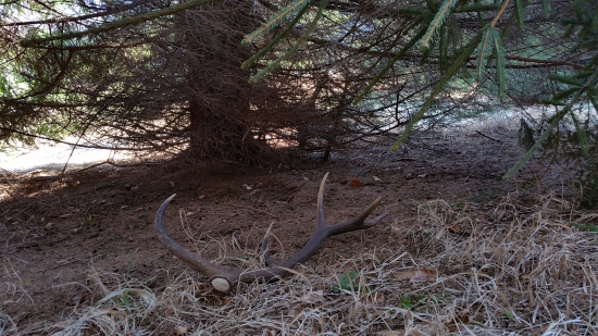 dnes čerstvý-12 torak