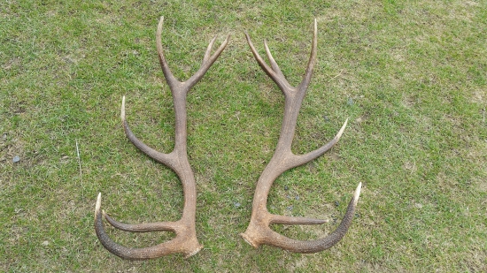 Včerajšia moja pára