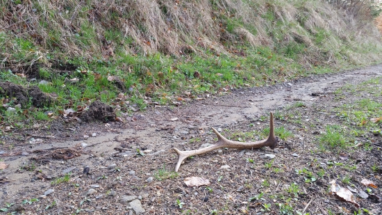 Na ceste potešil :-)