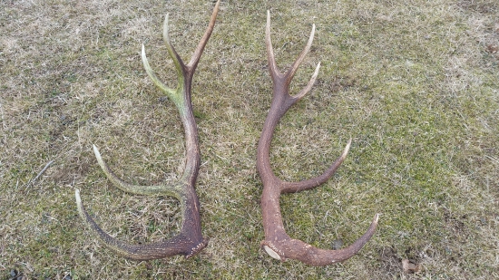 po 6-tich rokoch konečne spolu