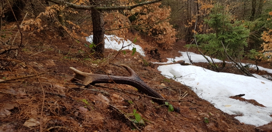 Sezóna zahajená lonejší