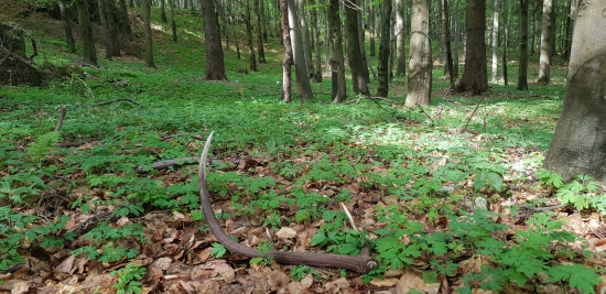 Ešte sa dá nájsť