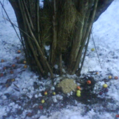 ked neni postaveni krmelec tak aj lieska postaci