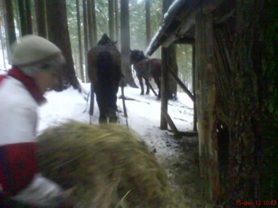 prikrmovanie s kamosmi