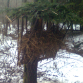 to bol môj prvi ked som mal 8 rokov :D