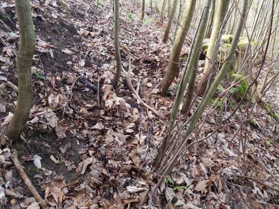 Predsa sa všetky nevyzbierali