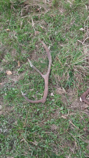 Stale sa oplatí ísť