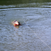 schladenie