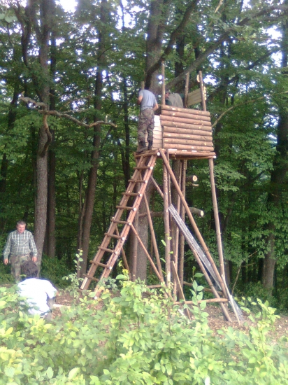 Činnosť v PZ DIANA