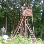 Činnosť v PZ DIANA