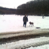polovacka na bazanty