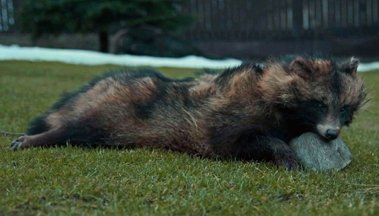 s veľkým šťastím