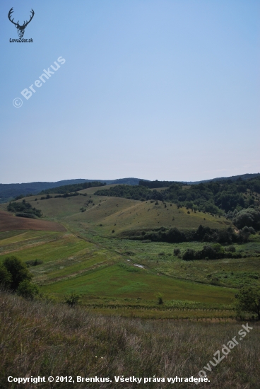 príroda