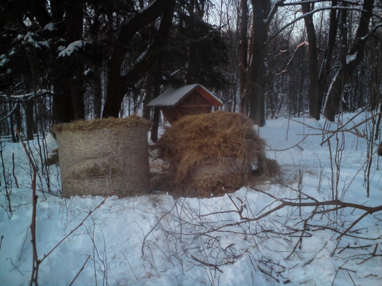 Myslím naně. Zvěř by měla mít hned lepší zimu.